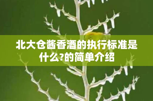 北大仓酱香酒的执行标准是什么?的简单介绍