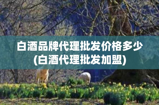 白酒品牌代理批发价格多少(白酒代理批发加盟)