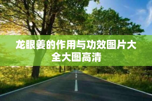 龙眼姜的作用与功效图片大全大图高清