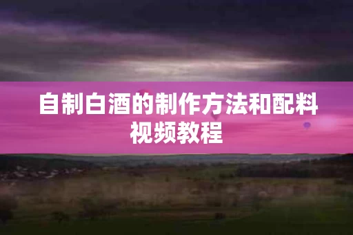 自制白酒的制作方法和配料视频教程