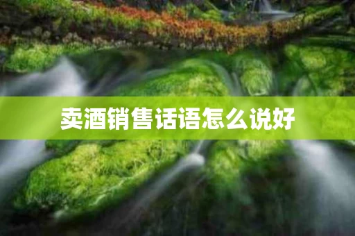 卖酒销售话语怎么说好