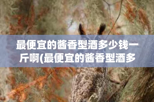 最便宜的酱香型酒多少钱一斤啊(最便宜的酱香型酒多少钱一斤啊视频)