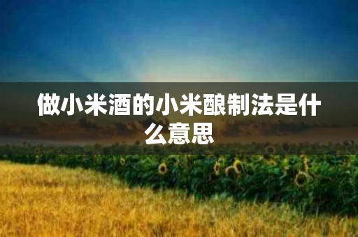 做小米酒的小米酿制法是什么意思