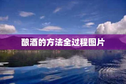 酿酒的方法全过程图片