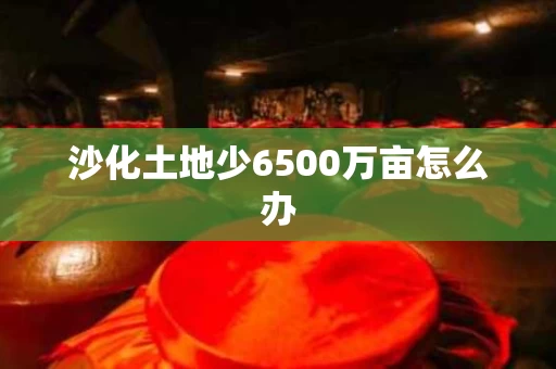 沙化土地少6500万亩怎么办